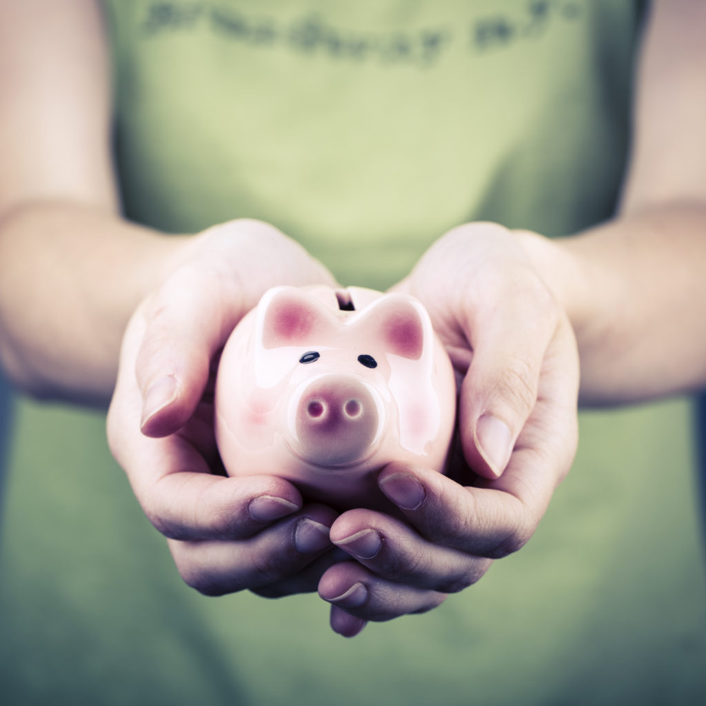 beautiful pig money box in woman hand