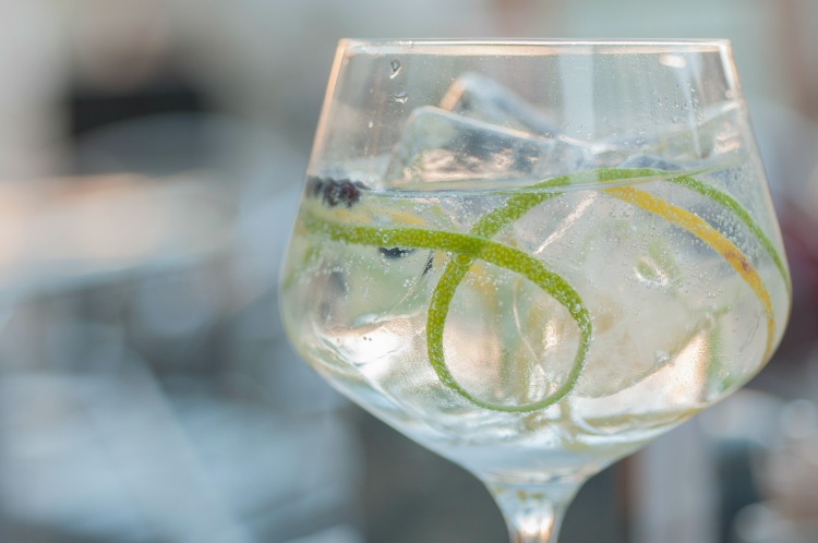Gin and tonic with lime ice and other fruits