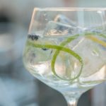 Gin and tonic with lime ice and other fruits