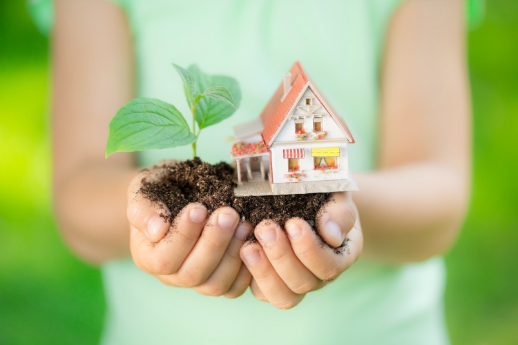 Child holding house and tree in hands against spring green background. Real estate concept