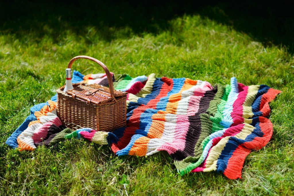 Picnic basket and colorful blanket on green grass at sunny day