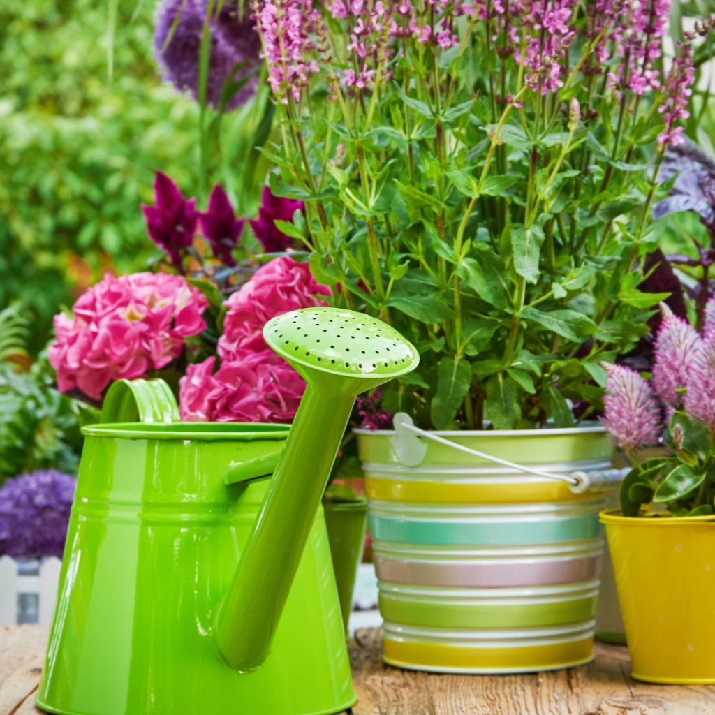 Gardening tools and flowers  on the terrace in the garden